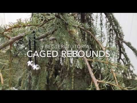 Caged Rebounds Tutorial A